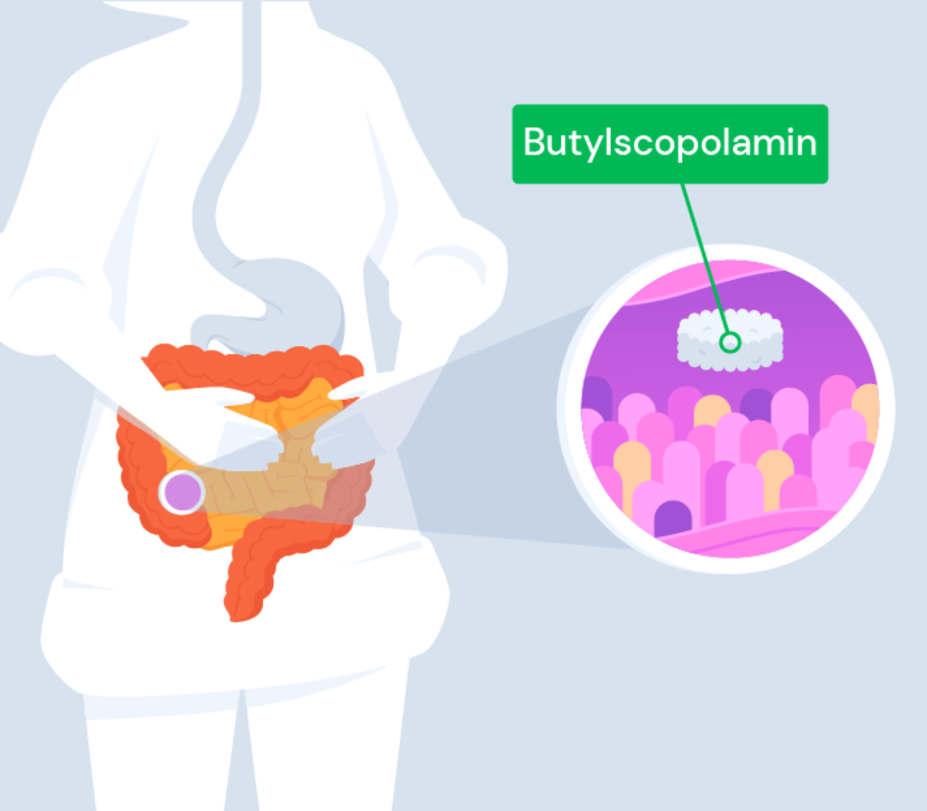 Silhouette einer Frau, die sich mit beiden Händen den Bauch hält. Im Inneren ihres Darms befindet sich eine Tablette Buscopan. Die Nahaufnahme zeigt die Beschreibung des Wirkstoffs Butylscopolamin.