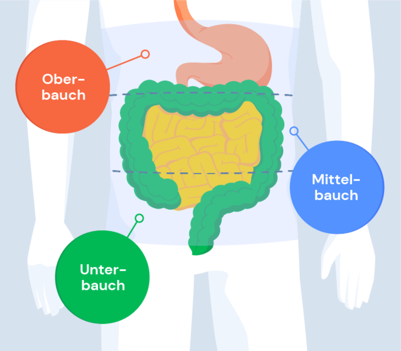 Silhouette eines Mannes: Darstellung der Lage von Oberbauch, Mittelbauch und Unterbauch.